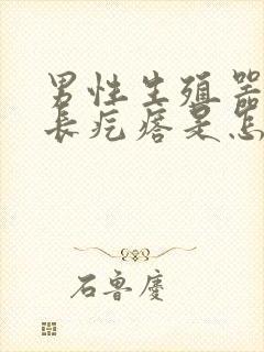 男性生殖器根部长疙瘩是怎么回事