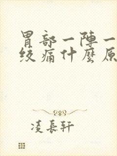 胃部一阵一阵的绞痛什么原因封面