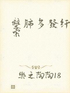 双肺多发纤维条索