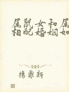 属鼠女和属羊男相配婚姻如何