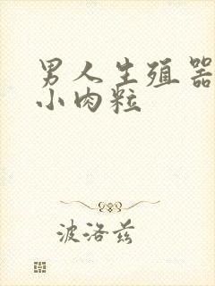 男人生殖器处长小肉粒