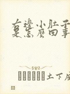 右边小肚子胀疼是怎么回事女性封面