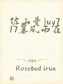 佐山爱juy717暴风雨在线观看