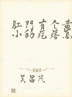 肛门有个黄豆大小的疙瘩怎么回事