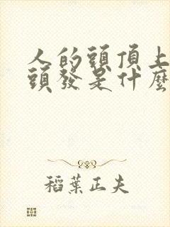 人的头顶上长白头发是什么原因