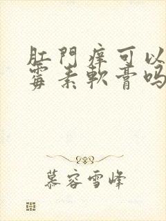 肛门痒可以涂红霉素软膏吗