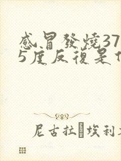 感冒发烧37.5度反复是什么原因封面