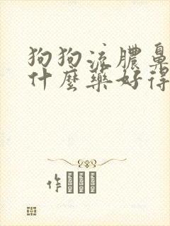 狗狗流脓鼻涕吃什么药好得快