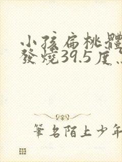 小孩扁桃体发炎发烧39.5度怎么办封面