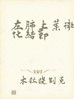 左肺上叶微小钙化结节