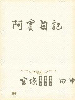 阿宾日记封面
