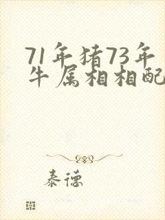 71年猪73年牛属相相配吗
