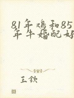 81年鸡和85年牛婚配好吗?