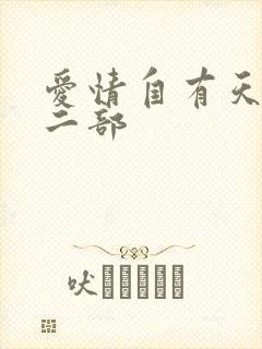 爱情自有天意第二部