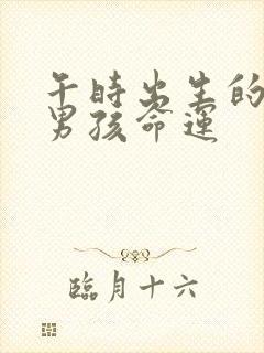 午时出生的属狗男孩命运