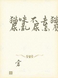 猫咪不去猫砂盆尿,乱尿怎么回事