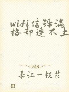 wifi信号满格却连不上网