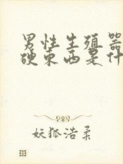 男性生殖器上长硬东西是什么原因