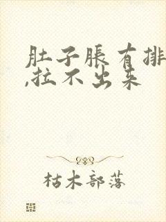 肚子胀有排便感,拉不出来封面