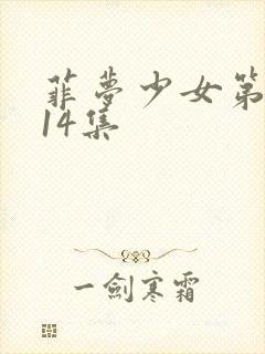 菲梦少女第二季14集