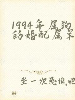 1994年属狗的婚配属羊的可以吗封面