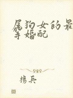 属狗女的最佳上等婚配封面