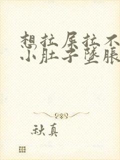 想拉屎拉不出来小肚子坠胀怎么办封面