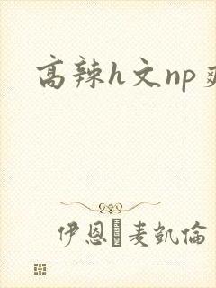 高辣h文np爽