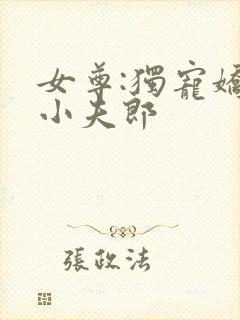 女尊:独宠娇软小夫郎