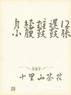 月经推迟12天小腹鼓鼓胀胀