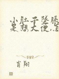 小肚子坠胀,老是想大便,怎么办啊