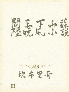 阎王下山苏文,陆晚风小说封面