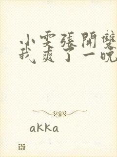 小雯张开双腿让我爽了一晚上