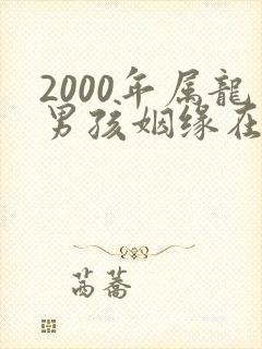 2000年属龙男孩姻缘在哪