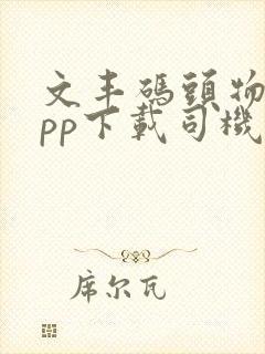 文丰码头物流app下载司机封面