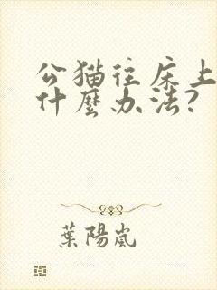 公猫往床上尿有什么办法?