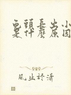 龟头长出小肉粒是什么原因