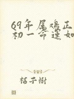 69年属鸡正月初一命运如何封面