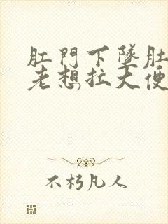 肛门下坠肚子疼老想拉大便怎么回事