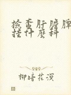 检查肝胆脾胰肾挂什么科