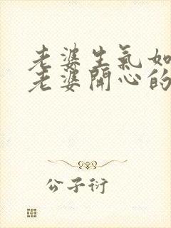 老婆生气如何哄老婆开心的句子