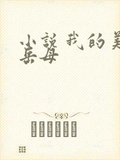 小说 我的美艳岳母