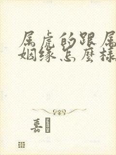 属虎的跟属兔的姻缘怎么样