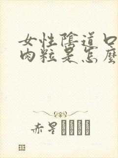 女性阴道口起了肉粒是怎么回事封面