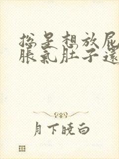 总是想放屁肚子胀气肚子还咕噜咕噜响封面