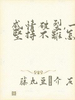 感情破裂,一方坚持不离怎么办封面