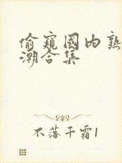 偷窥国内熟女高潮合集