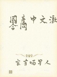 国产中文激情综合网