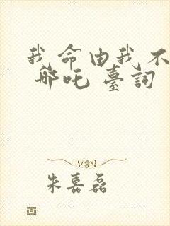 我命由我不由天 哪吒 台词