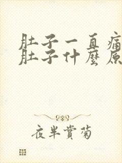 肚子一直痛还拉肚子什么原因